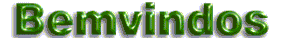 Bem-vindo